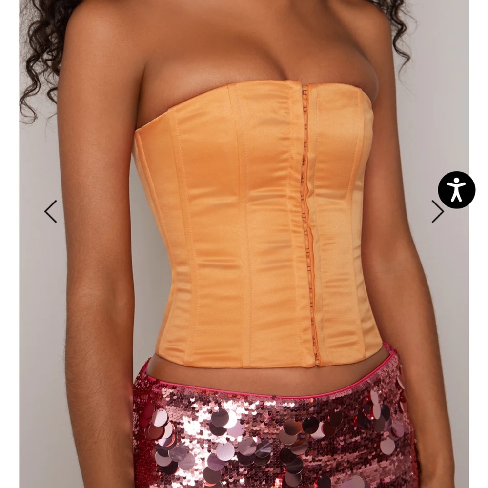 Danielle guizio corset